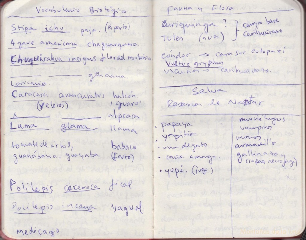 Cuaderno de Jesús Santana. Vocabulario Biológico. Fauna y Flora. Selva, Reserva de Nantar